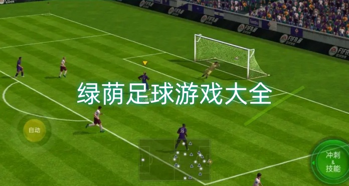 绿荫足球游戏大全