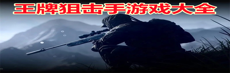 王牌狙击手游戏