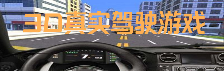 3D真实驾驶游戏