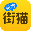 哈啰街猫