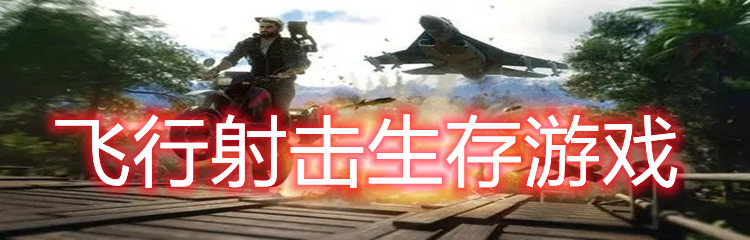 飞行射击生存游戏