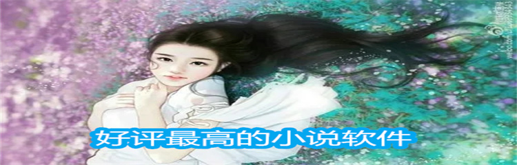 好评最高的小说软件