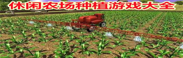 休闲农场种植游戏