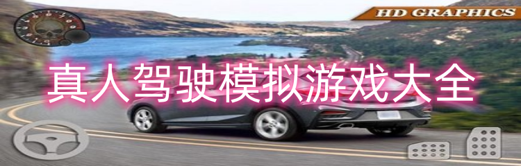 真人驾驶模拟游戏大全