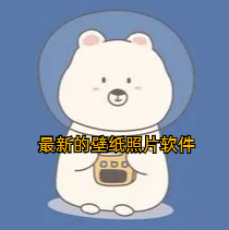 最新的壁纸照片软件