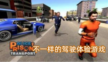 不一样的驾驶体验游戏