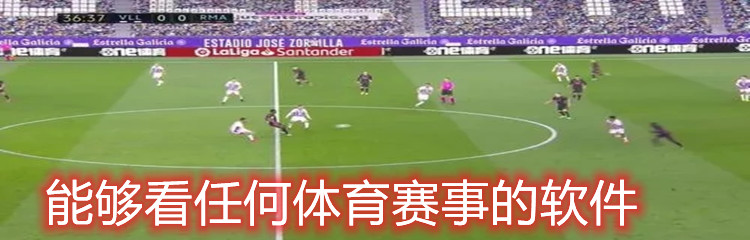 能够看任何体育赛事的软件