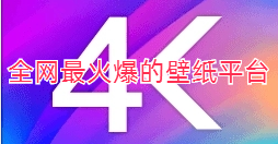 全网最火爆的壁纸平台