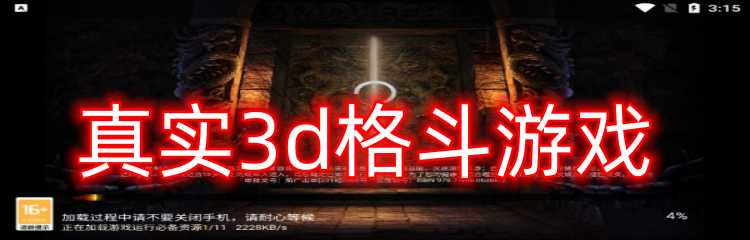 真实3d格斗游戏