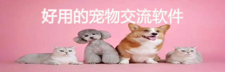 好用的宠物交流软件