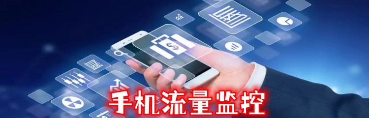 手机流量监控