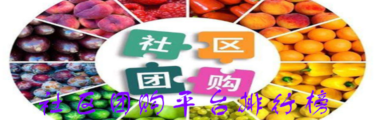 社区团购平台排行榜