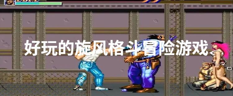 好玩的旋风格斗冒险游戏