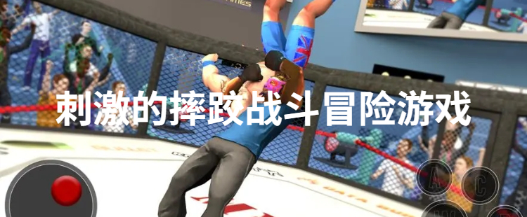 刺激的摔跤战斗冒险游戏