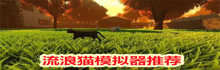 流浪猫模拟器