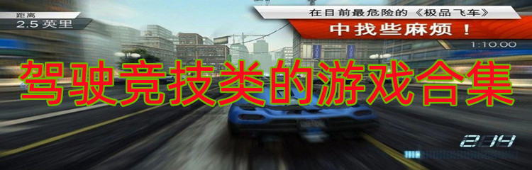 驾驶竞技类的游戏合集