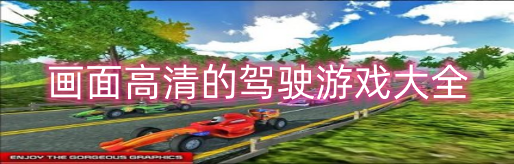 画面高清的驾驶游戏大全