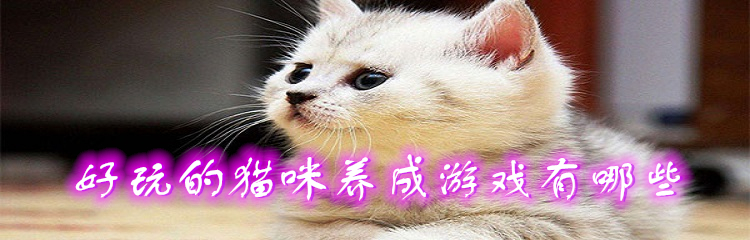 好玩的猫咪养成游戏有哪些