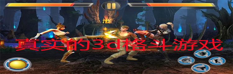 真实的3d格斗游戏