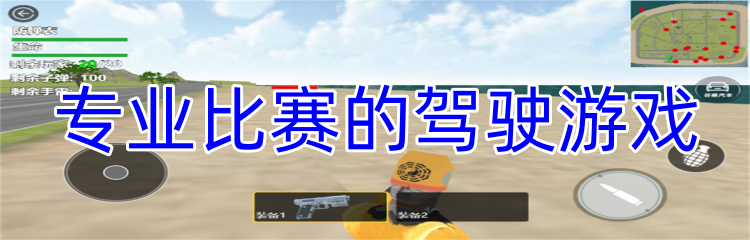 专业比赛的驾驶游戏