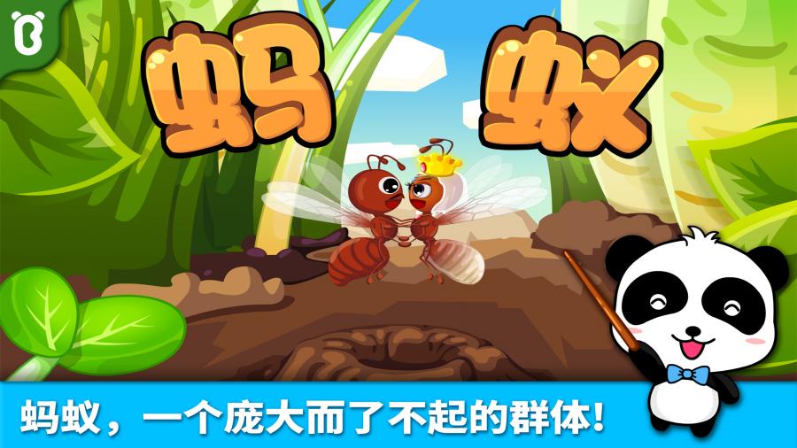 宝宝巴士蚂蚁王国 宝宝巴士蚂蚁王国
