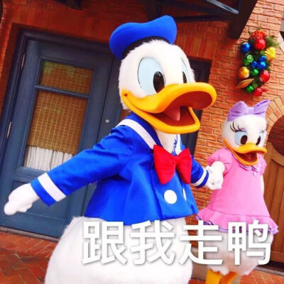 冲鸭打工人表情包