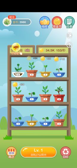 植物金币屋 植物金币屋