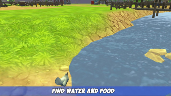 一只特立独行的鸡-插图1