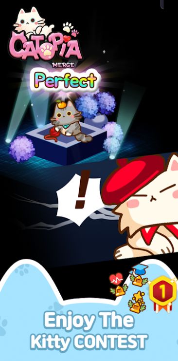 萌猫大本营-插图3 萌猫大本营-插图3