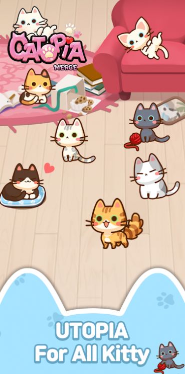 萌猫大本营-插图2 萌猫大本营-插图2