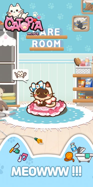 萌猫大本营-插图1 萌猫大本营-插图1