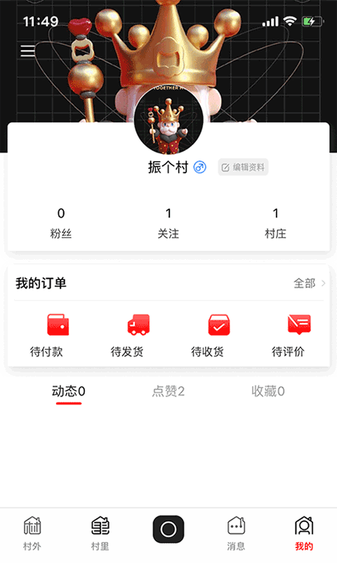振个村-插图1
