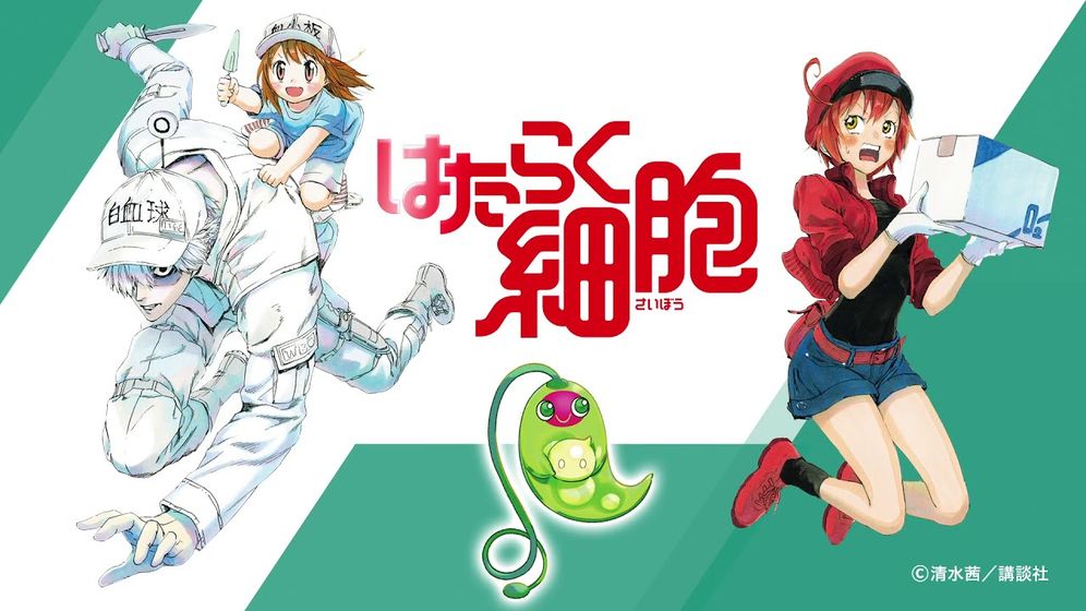 工作细胞第一季樱花版-插图1