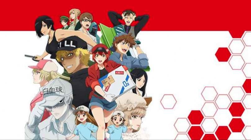 工作细胞第一季樱花版-插图3