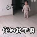 我被你拍到了要50块才能起来表情包-插图1