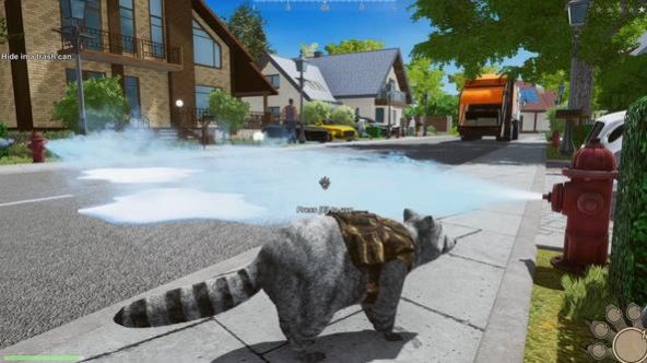 被通缉的浣熊-插图1