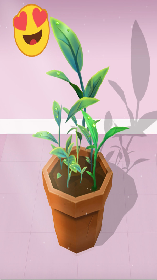 完美园艺-插图2