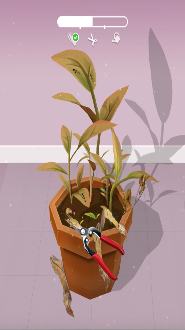 完美园艺-插图1