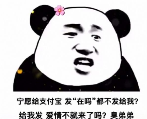 宁愿给支付宝发在吗表情包-插图1