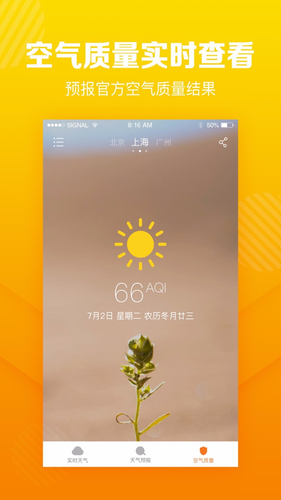 菠萝天气预报-插图3