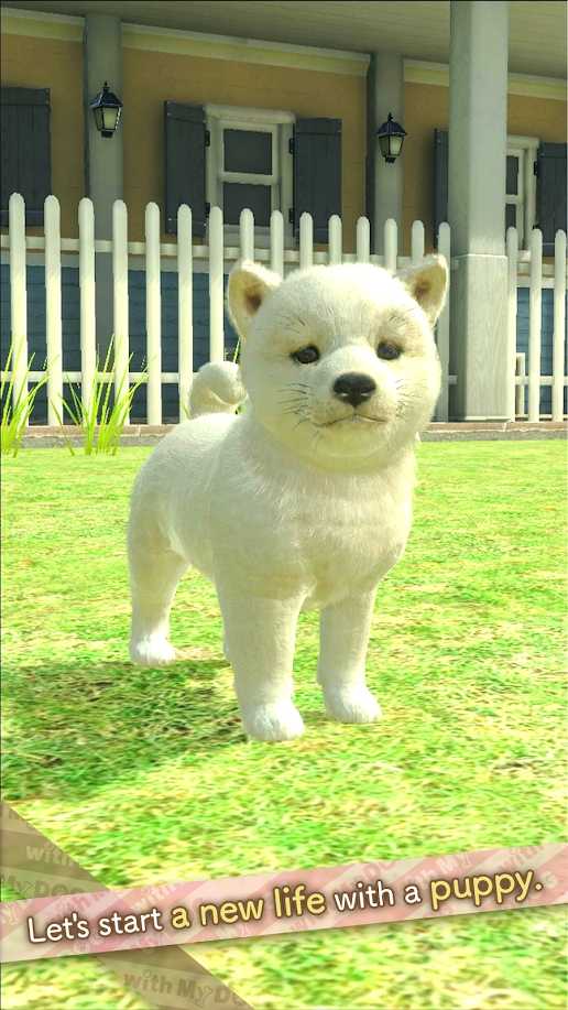 和我的狗在一起-插图1 和我的狗在一起-插图1