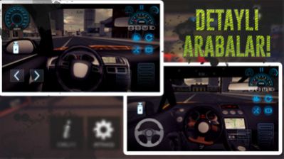 特斯拉驾驶模器-插图1