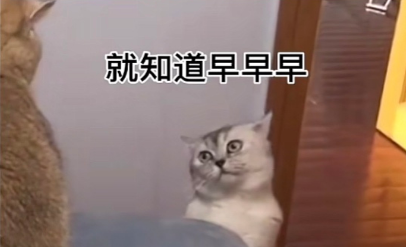 就知道早早早表情包-插图1 就知道早早早表情包-插图1