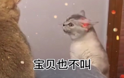 就知道早早早表情包-插图2 就知道早早早表情包-插图2