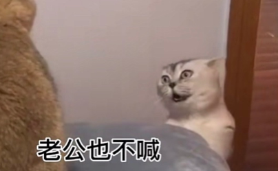 就知道早早早表情包-插图3 就知道早早早表情包-插图3