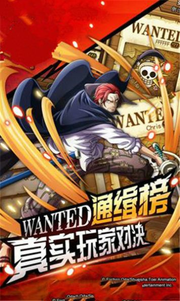 海贼之最强武道-插图3