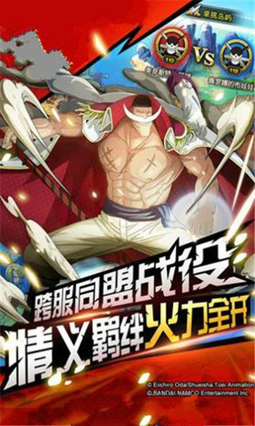 海贼之最强武道-插图2