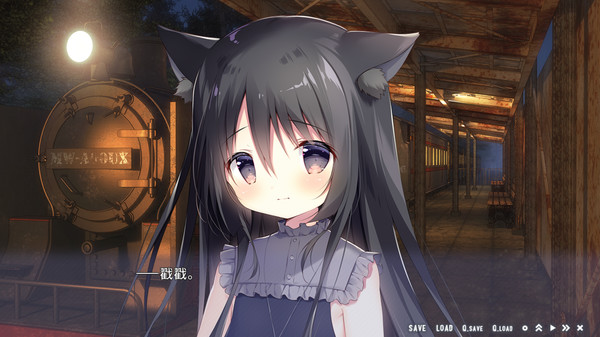 星空列车与白的旅行-插图2