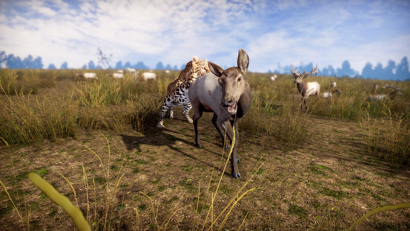 疾如闪电-插图3