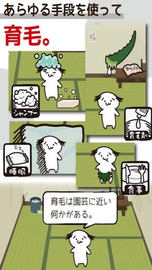 我不要秃头-插图3 我不要秃头-插图3